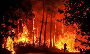 News Photo 1 - Europe - Otta Nottathil - 15820222fire